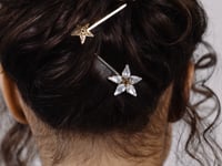 Load and play video in Gallery viewer, Luxury Fench hair pin
